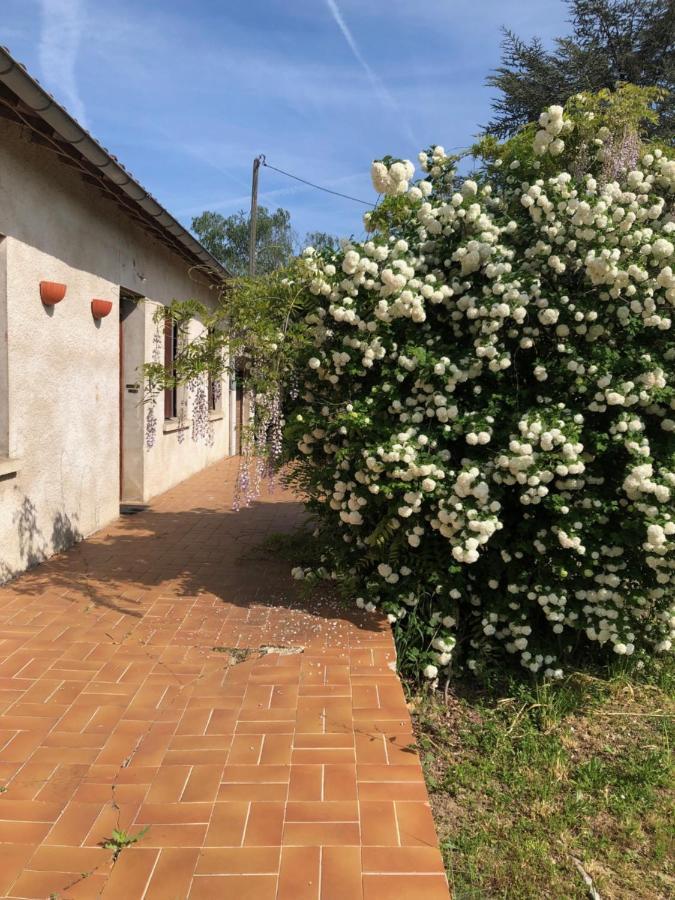 La Cabanes Senouillac المظهر الخارجي الصورة